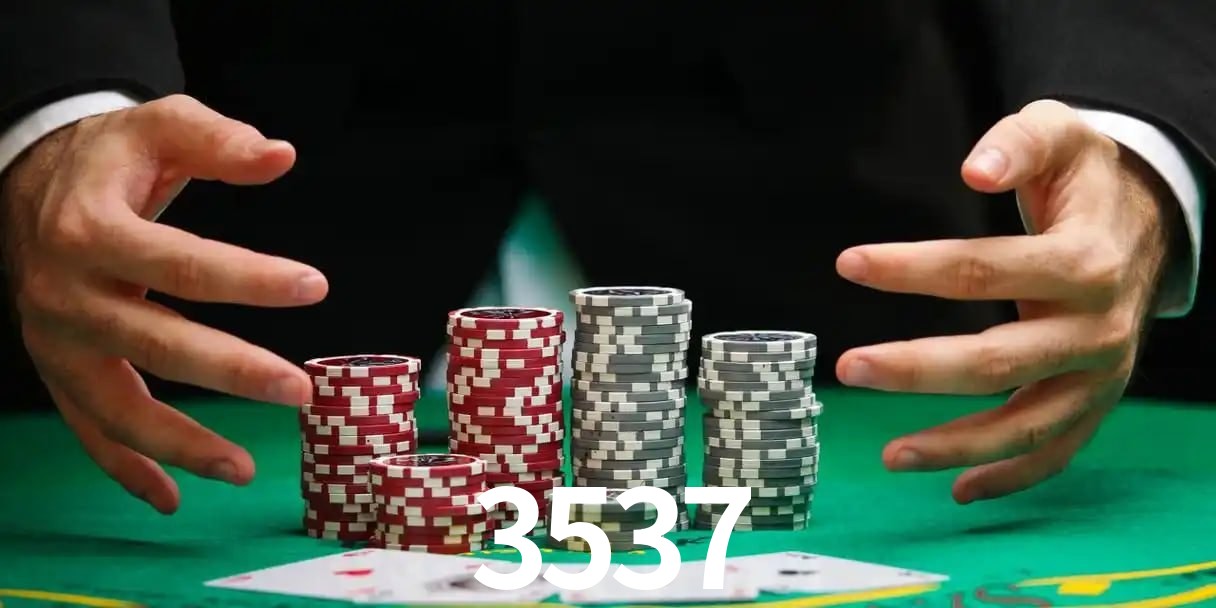 3537 plataforma